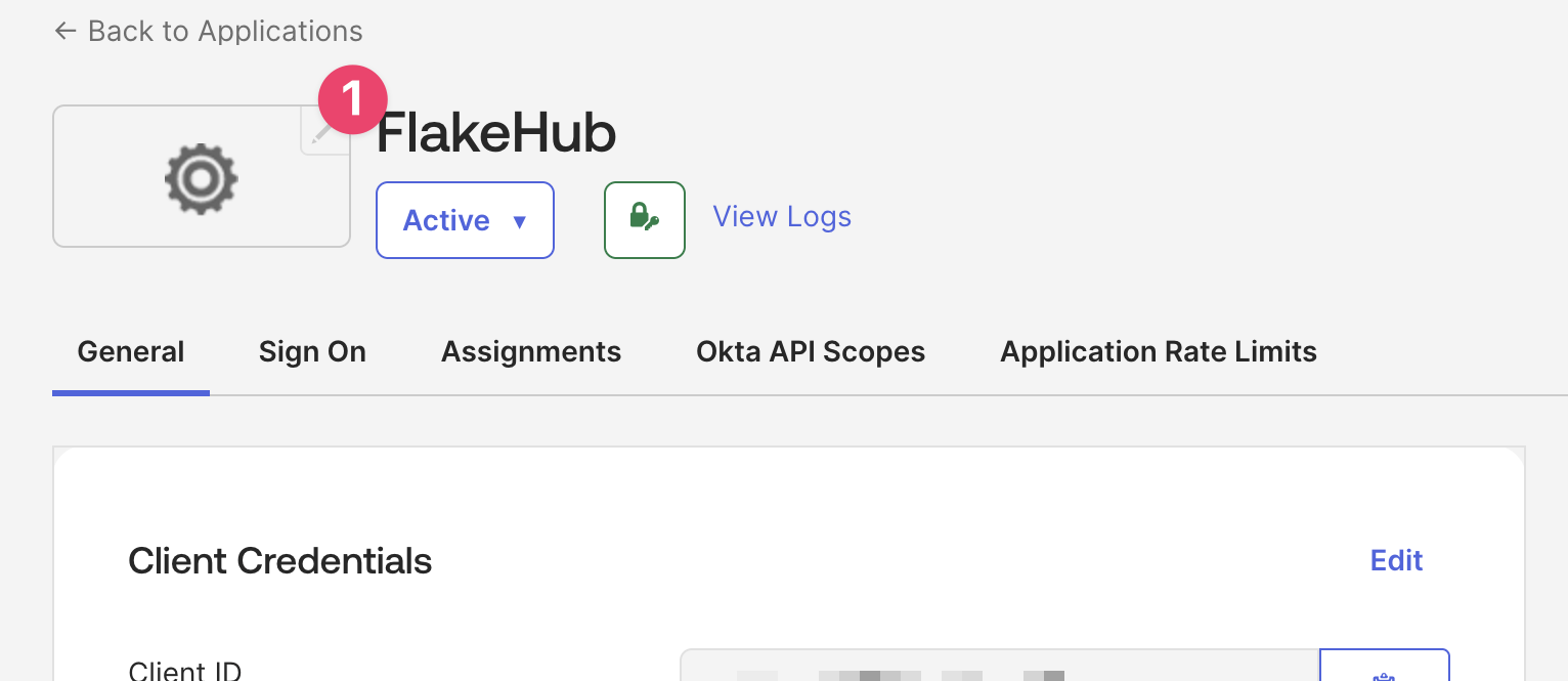 A screenshot indicating the visual position of the app logo's edit button.